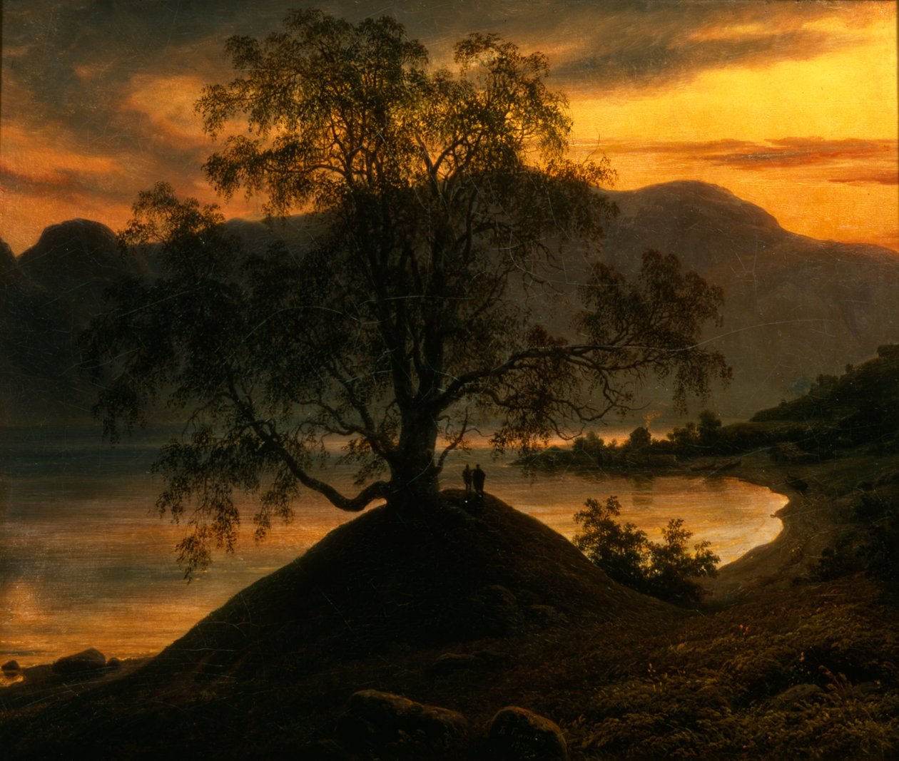 Slindrebirken door Thomas Fearnley