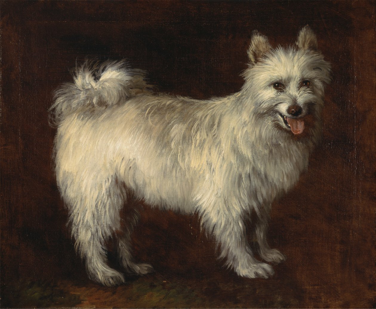 Spitzhond door Thomas Gainsborough RA