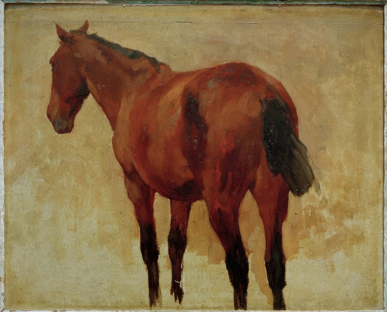 Paardenstudie door Thomas Ludwig Herbst