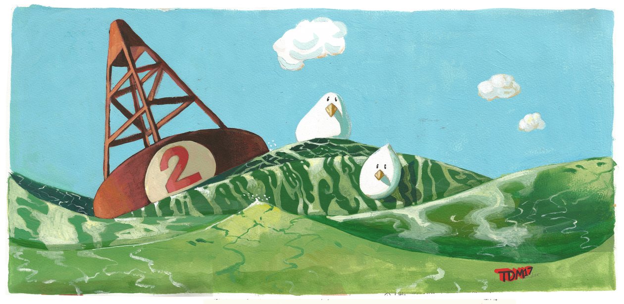 Vogels boei deining door Thomas MacGregor
