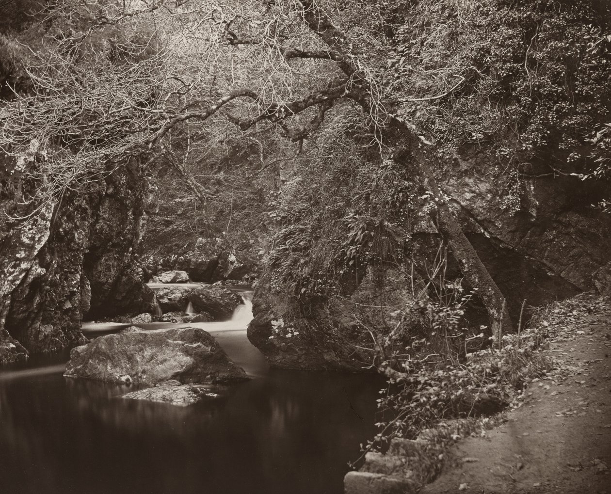 Het Dargle-gat, ca. 1865 door Thomas Marcus Brownrigg