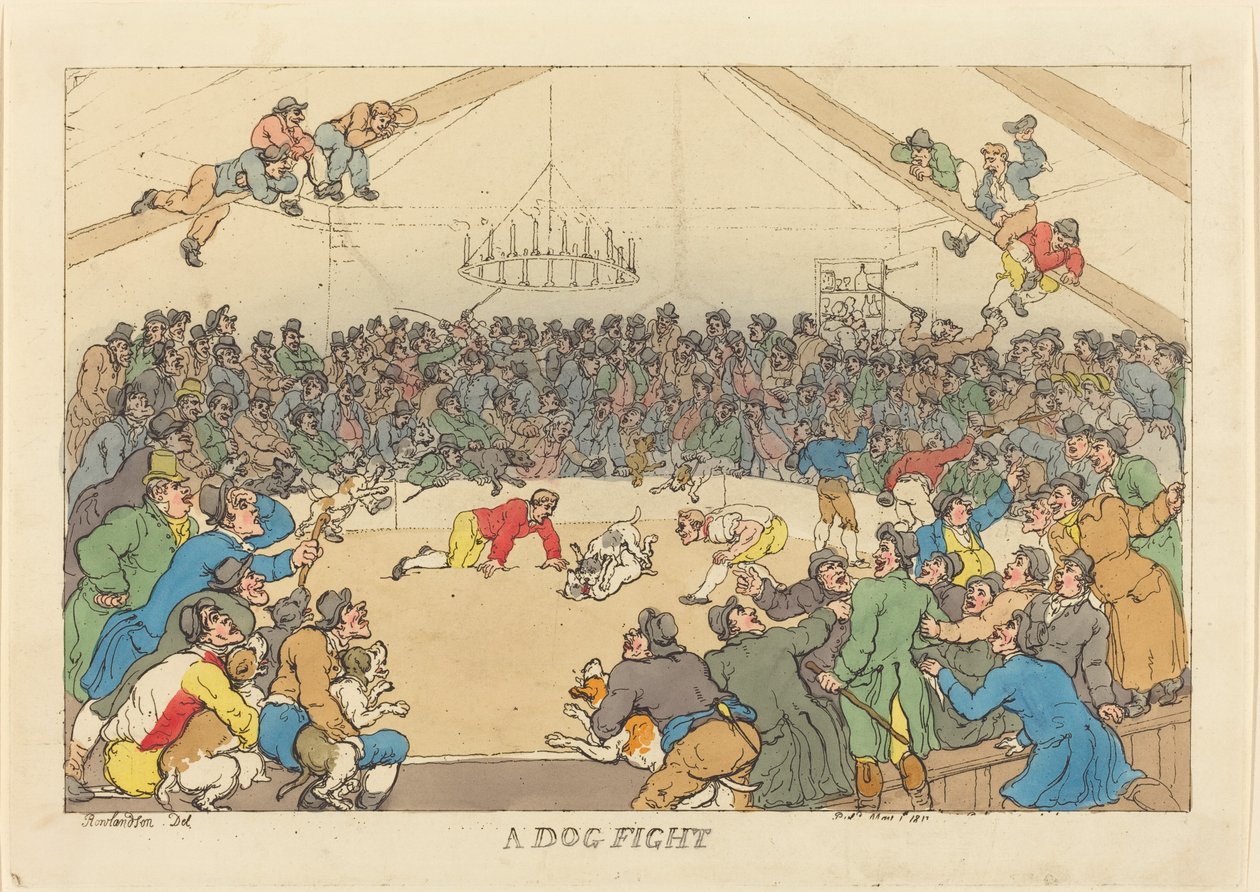 Een hondengevecht door Thomas Rowlandson