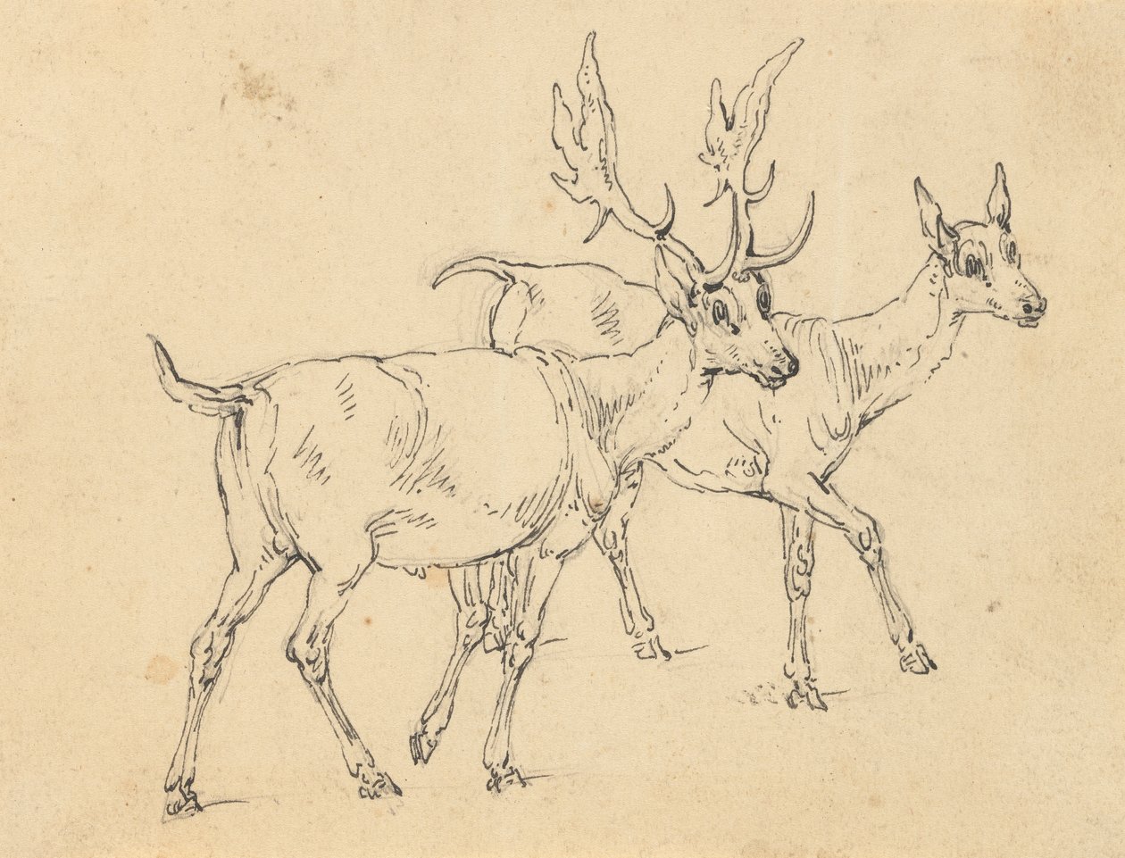 Albumtekening door Thomas Rowlandson