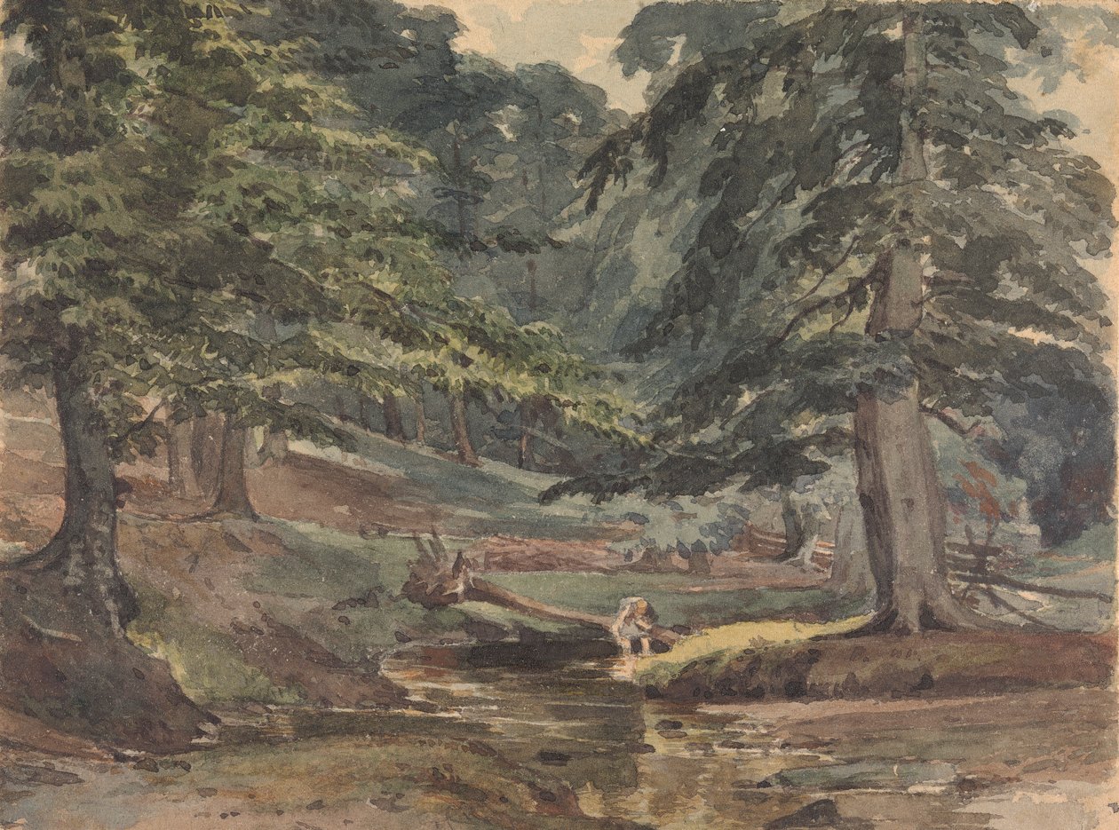 Beboste rivier scène door Thomas Sully