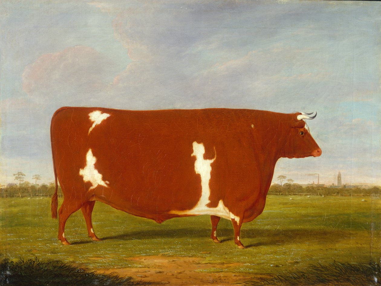 Een prijsstier staand in een landschap door Thomas Weaver
