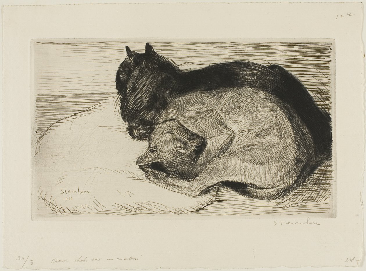 Twee katten op een kussen door Théophile Alexandre Pierre Steinlen