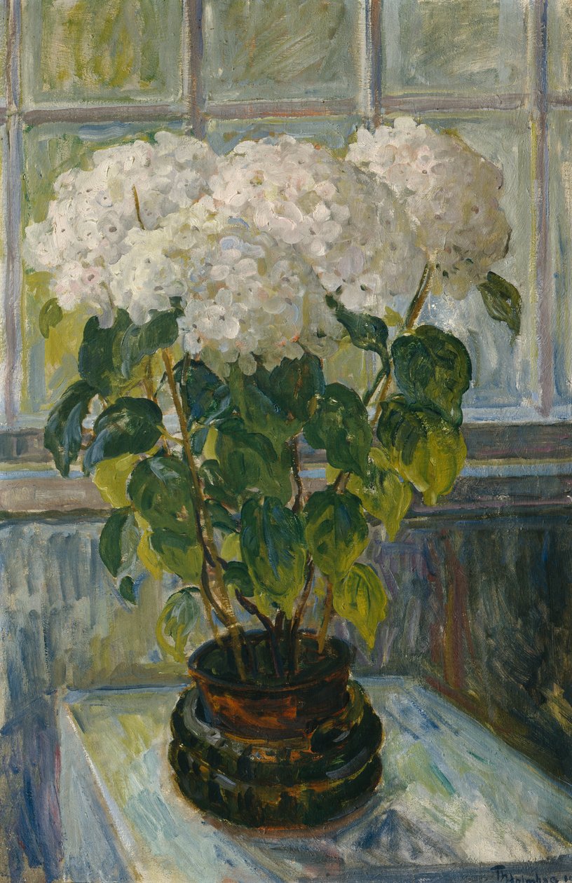 Hortensia door Thorolf Holmboe