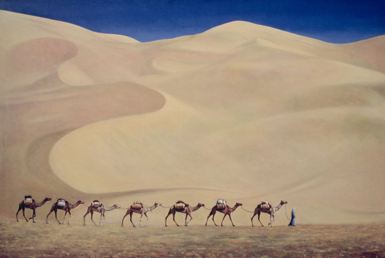 Kameelkaravaan, 1993 door Tilly Willis
