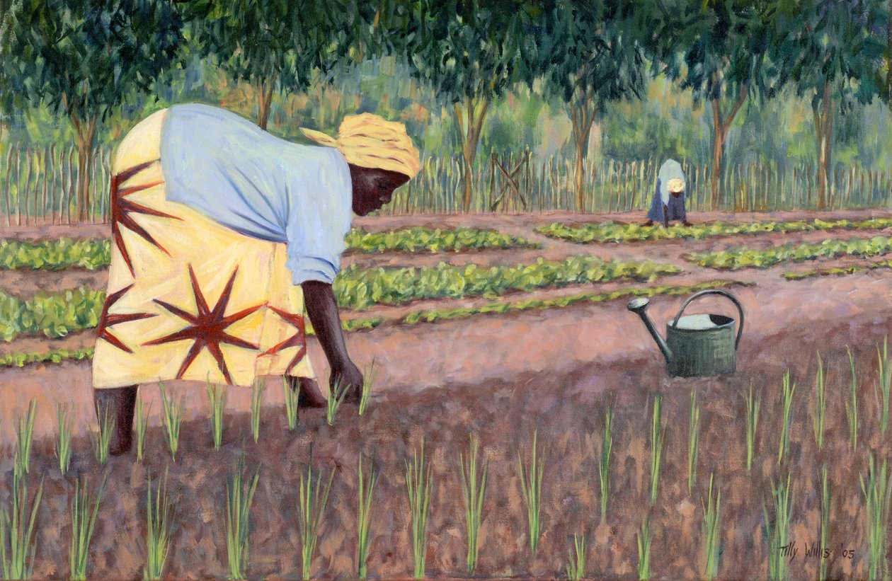 Uien planten, 2005 door Tilly Willis