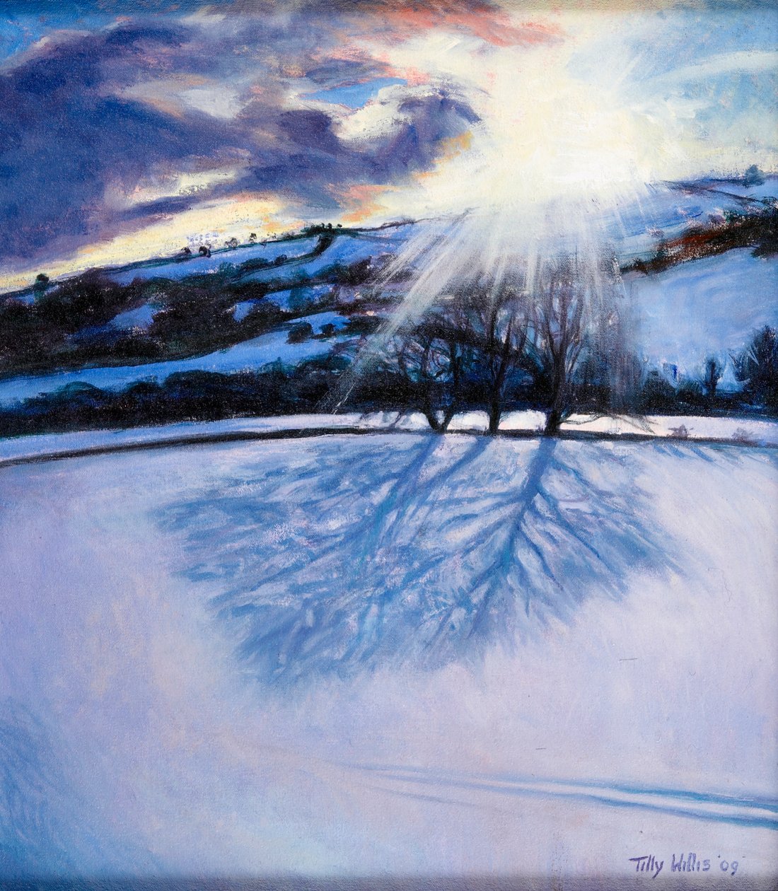 Sneeuwschaduwen, 2009 door Tilly Willis