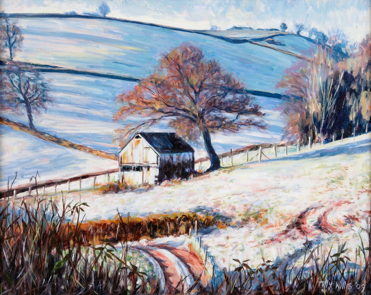 Wintervorst, 2009 door Tilly Willis