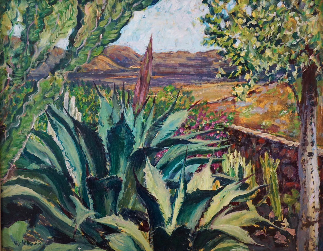 Lanzarote landschap, 2023 door Tilly Willis