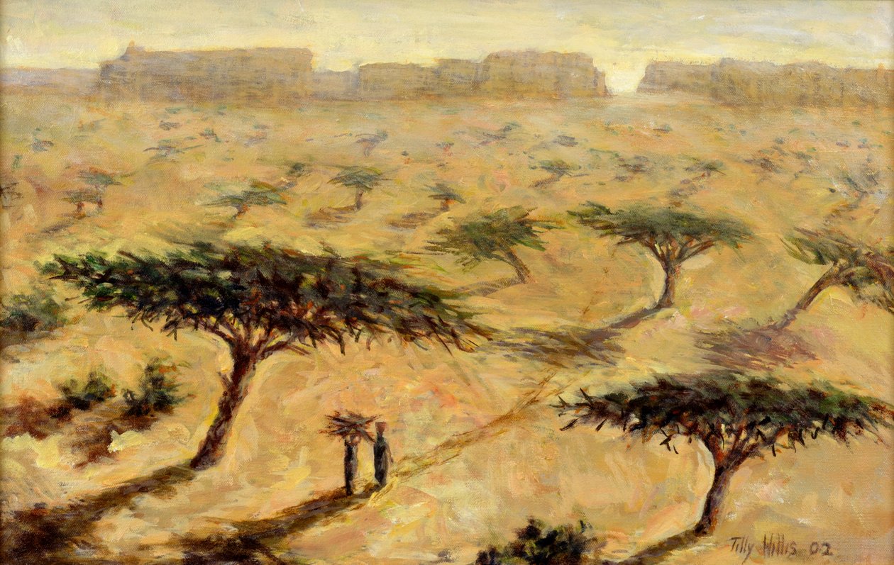 Sahelisch landschap, 2002 door Tilly Willis