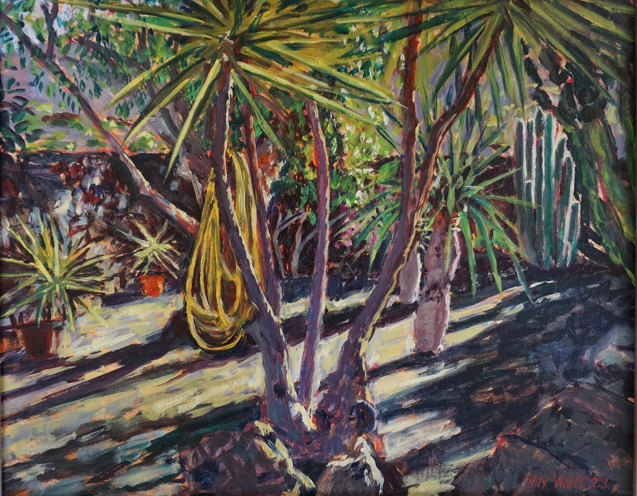 Spaanse cactus tuin, 2023 door Tilly Willis