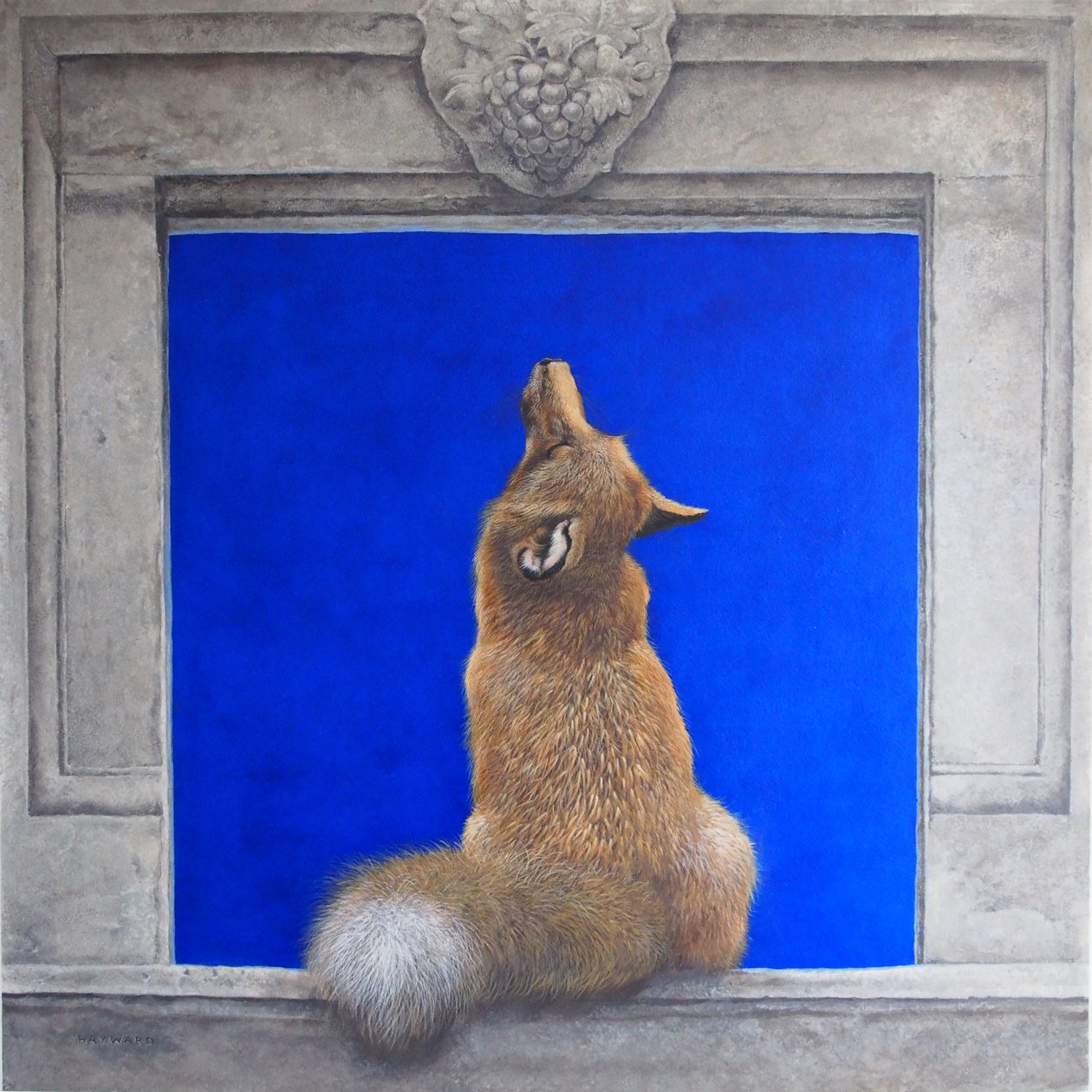 De Vos en de Druiven door Tim Hayward