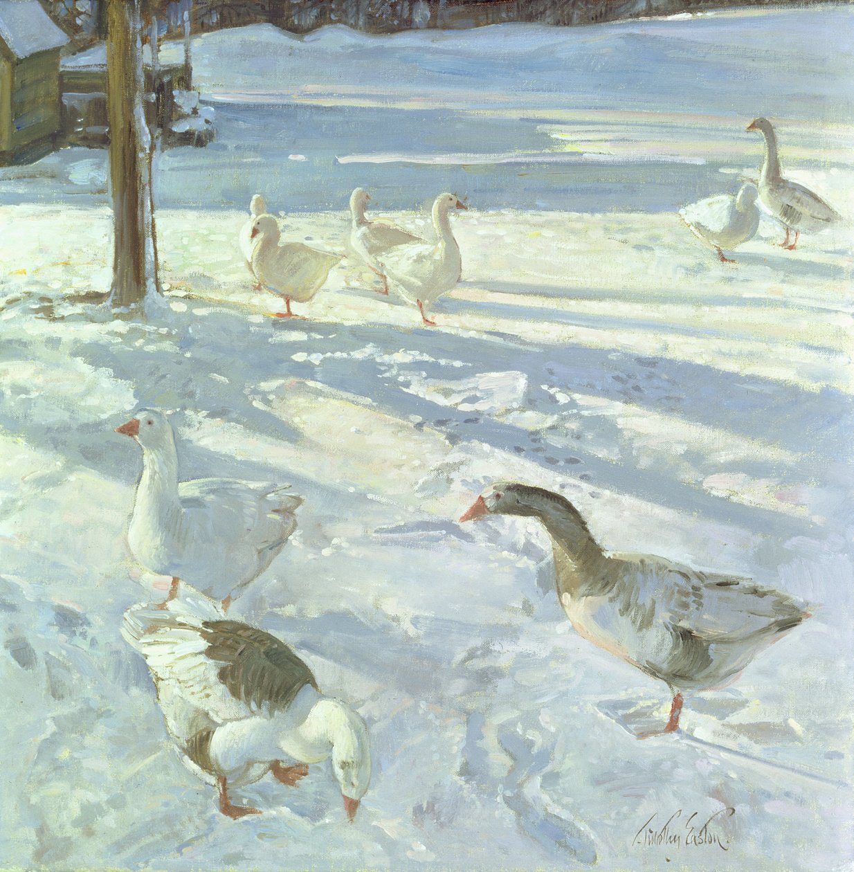 Sneeuwvoeders door Timothy Easton
