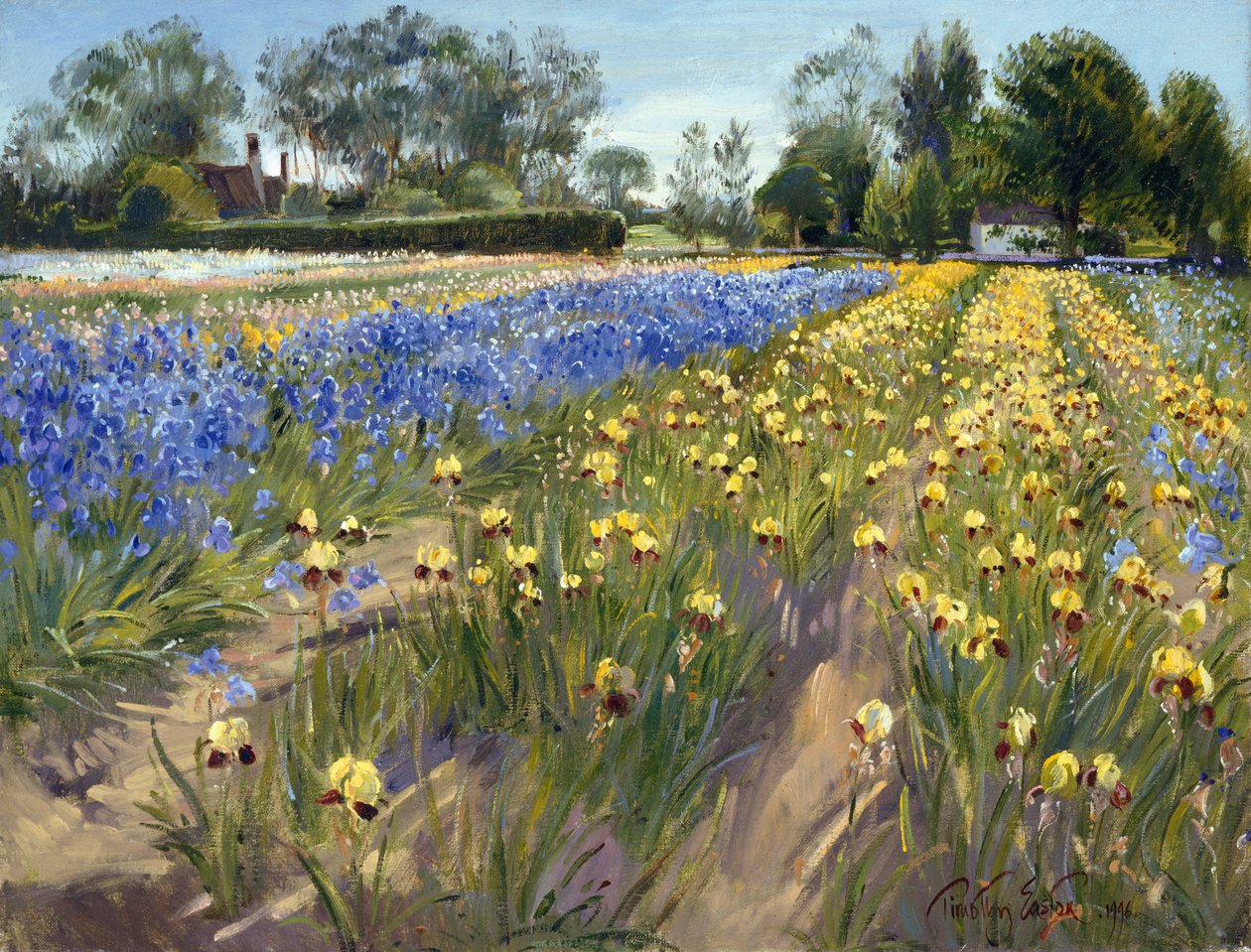 Naar de witte schuur door Timothy Easton