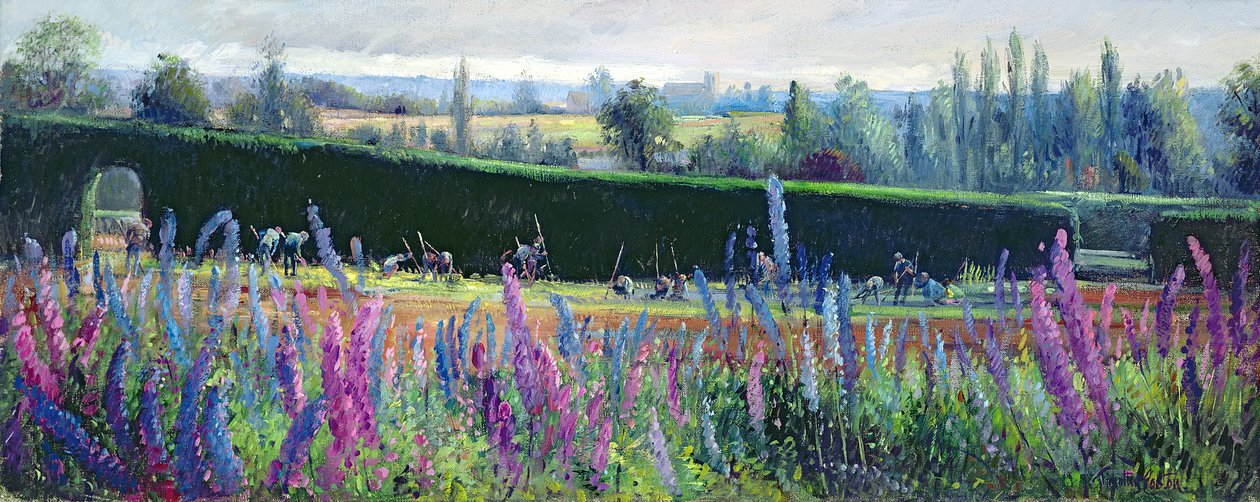 Schoffelen Tegen de Haag door Timothy Easton