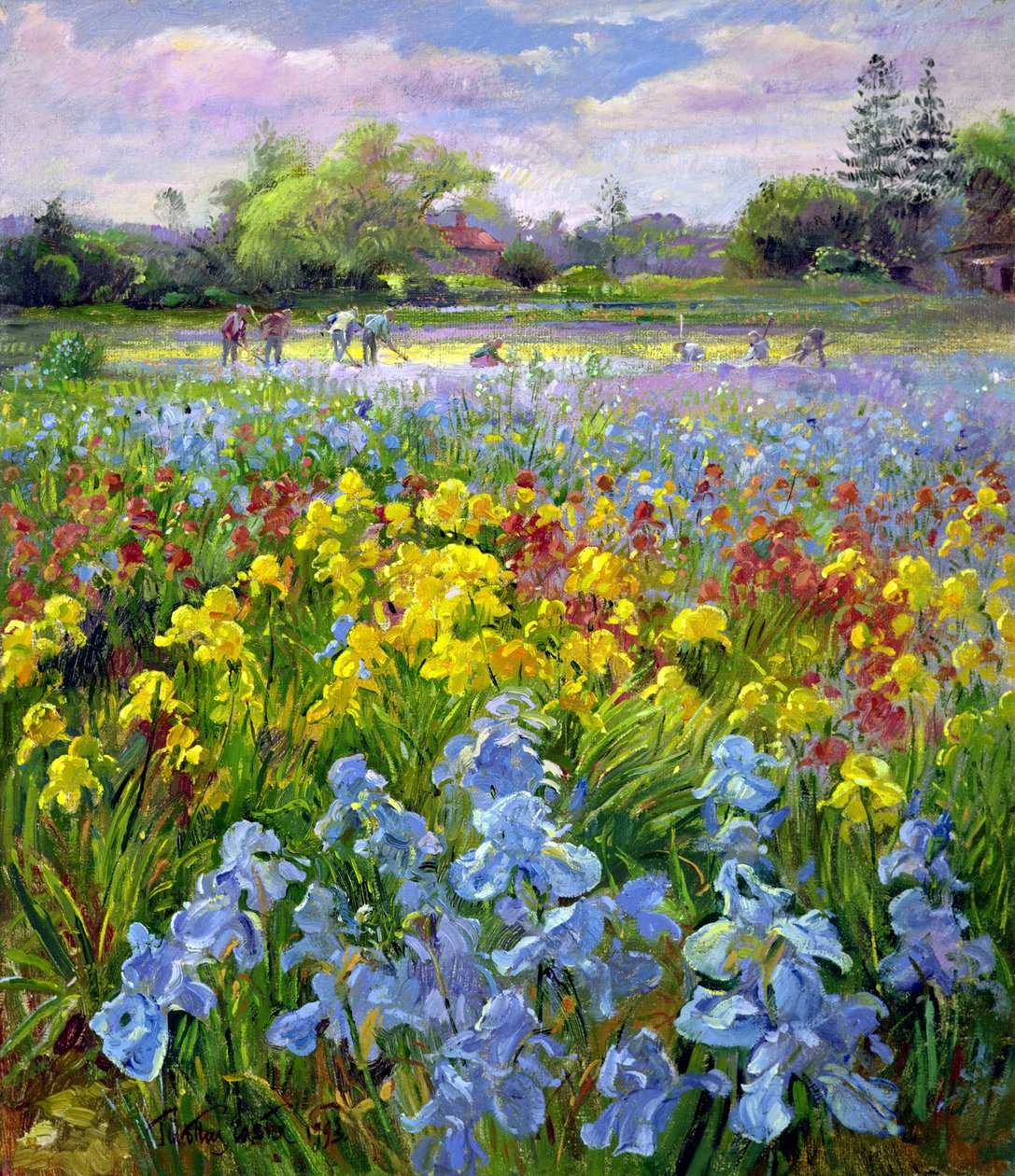Spitteams en Irisvelden door Timothy Easton