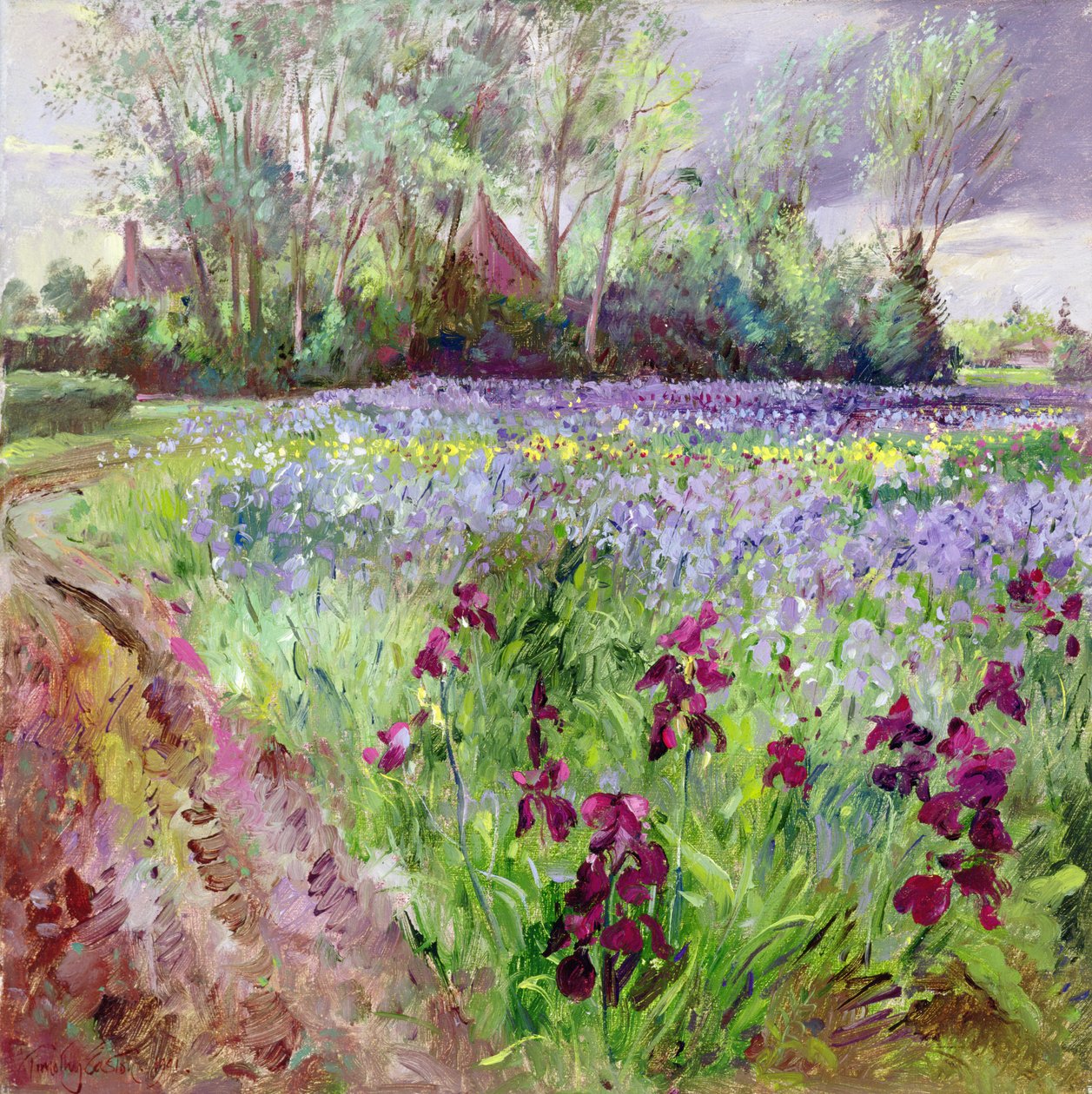 Irisveld, Storm Opkomst door Timothy Easton