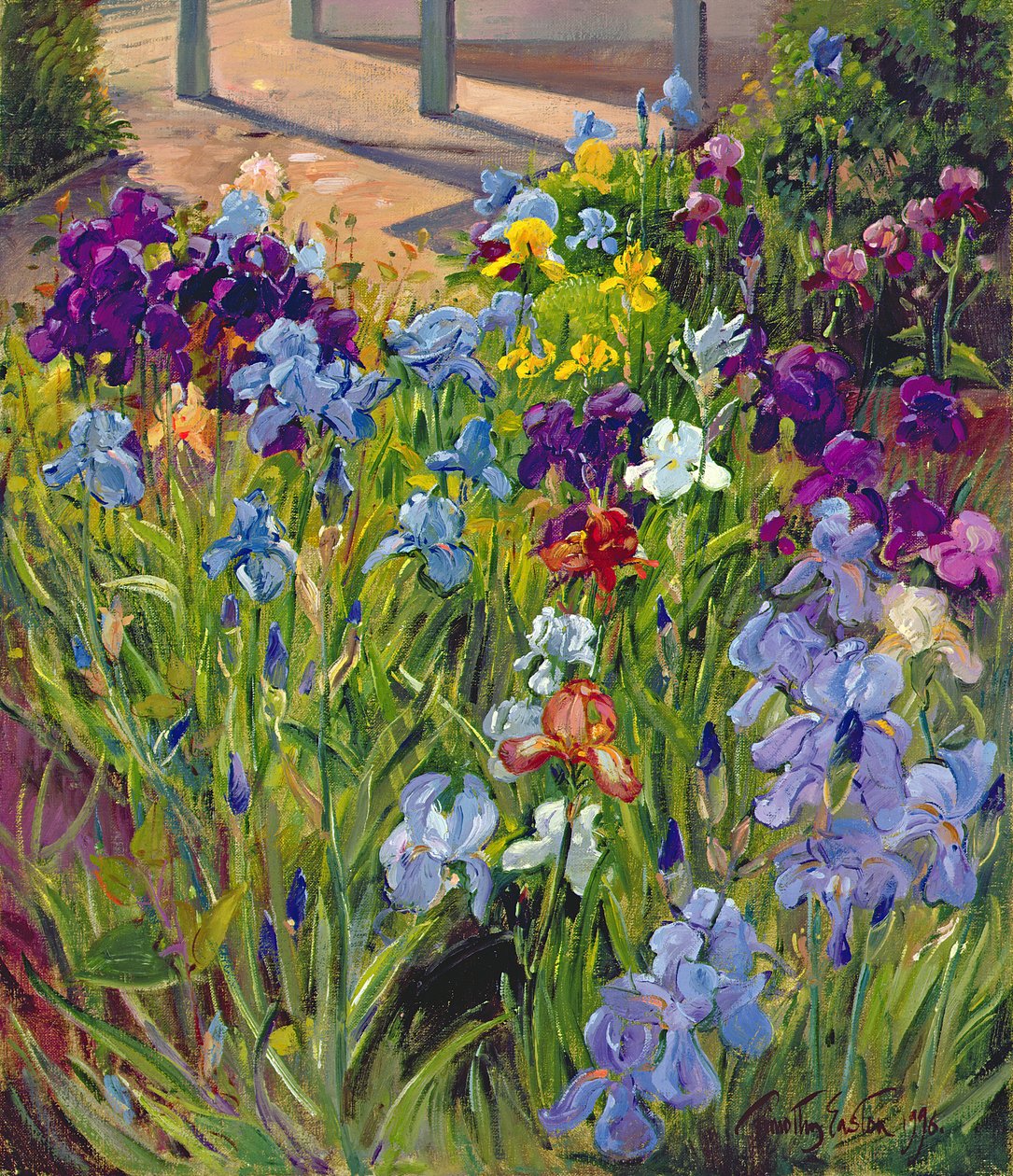 Iris en schaduwen van het zomerhuis, 1996 door Timothy Easton