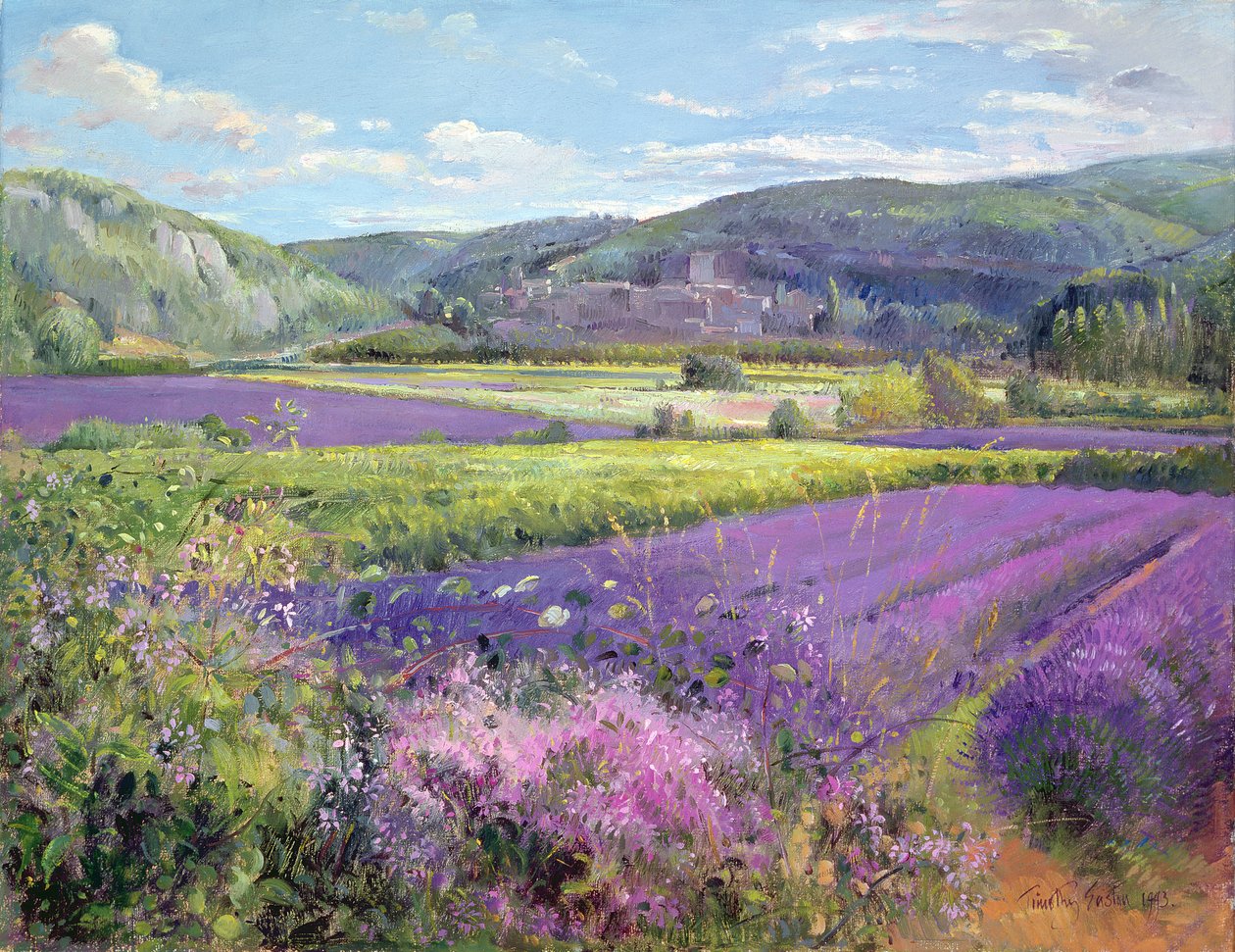 Lavendelvelden in Oud-Provence door Timothy Easton
