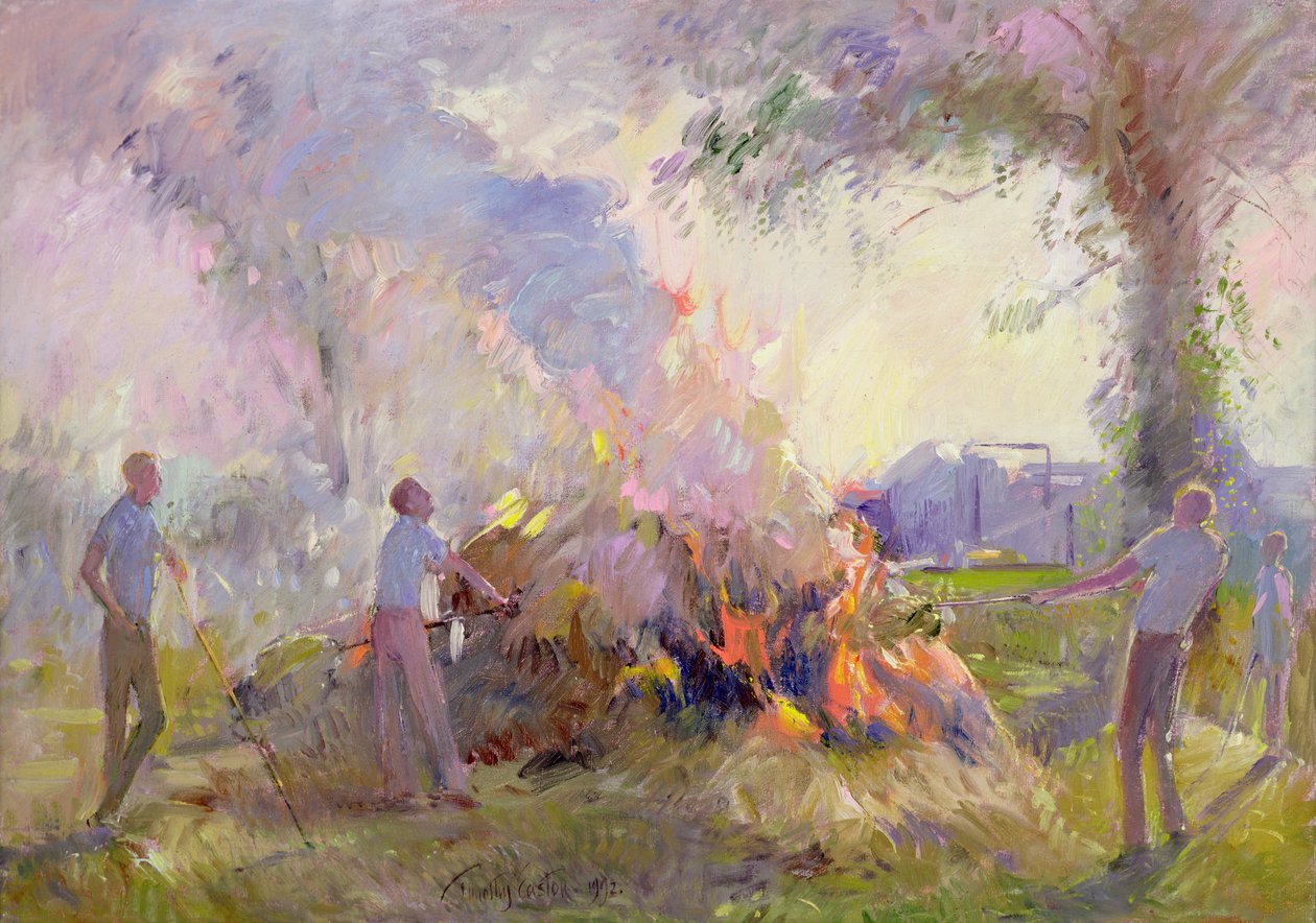 De zomer opruimen door Timothy Easton