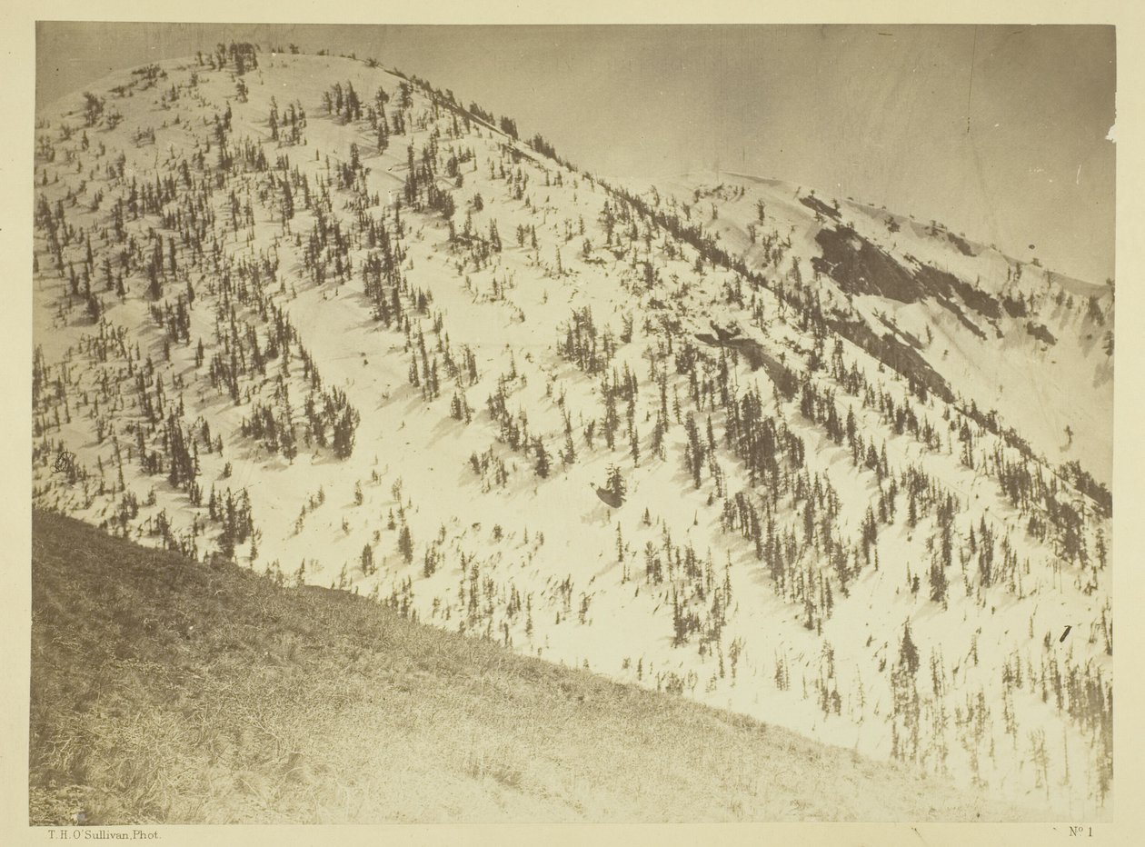 Sneeuwtoppen, Bull Run-mijndistrict, Nevada door Timothy O