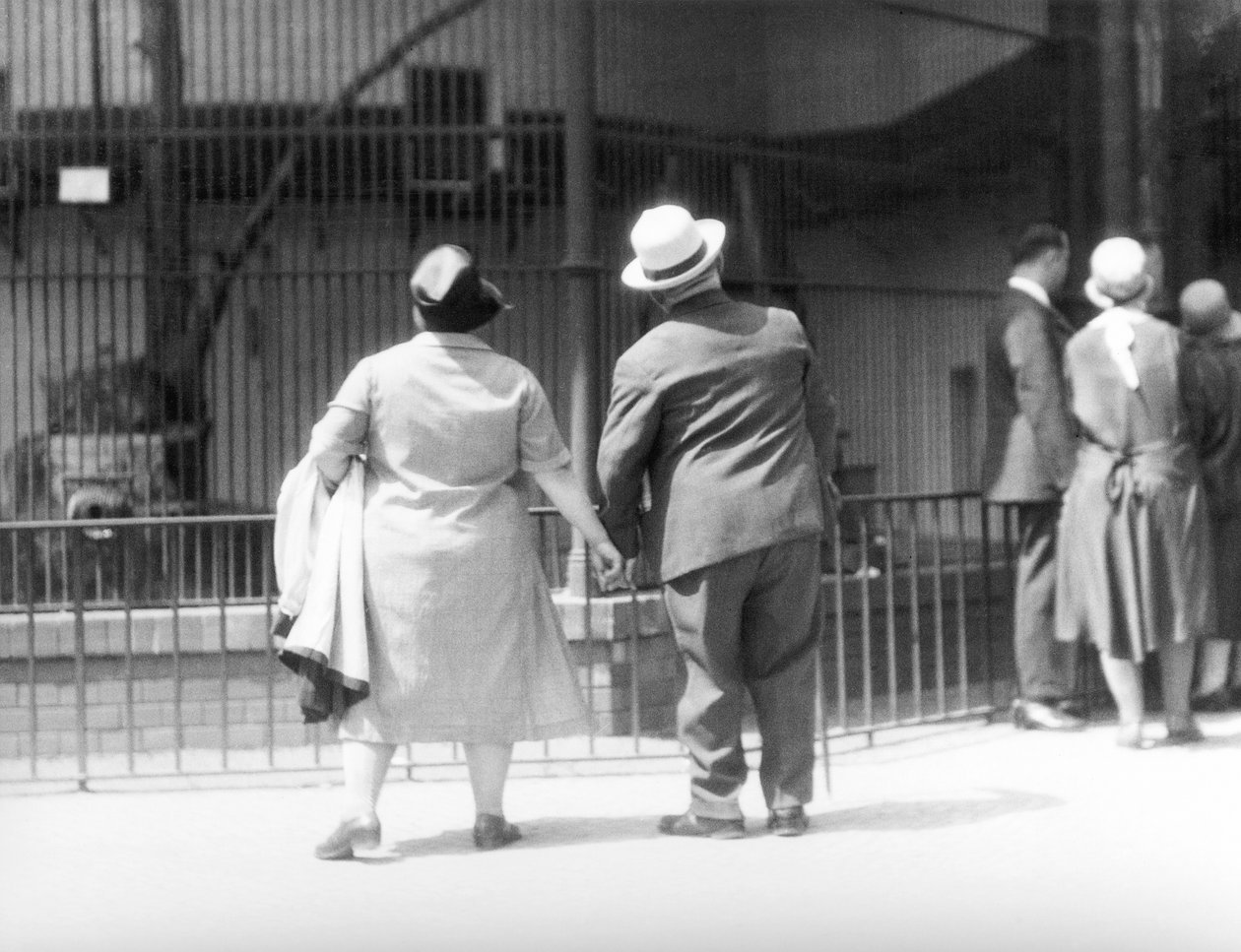 In de Dierentuin, Berlijn, Duitsland door Tina Modotti