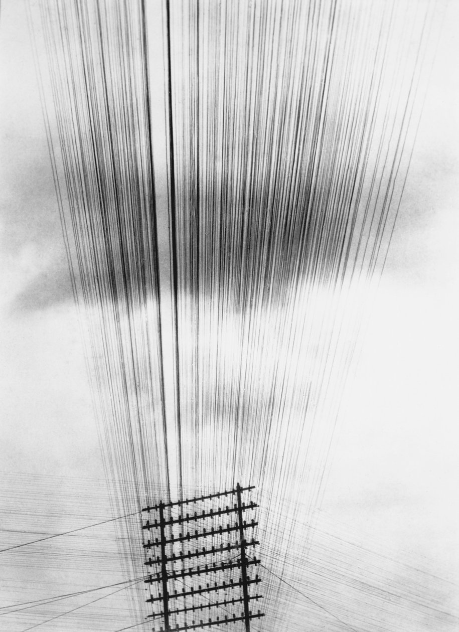 Telefoondraden, Mexico, 1925 door Tina Modotti