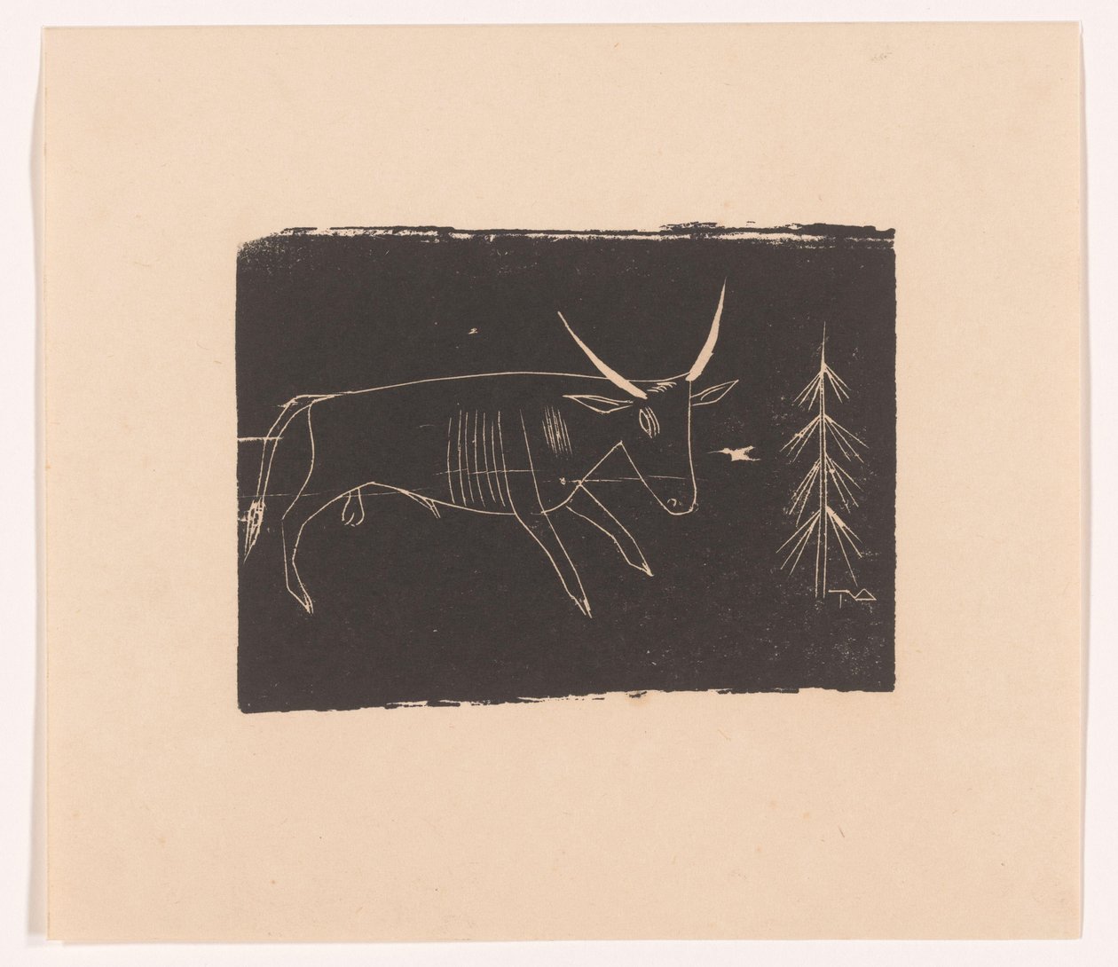 Stier door Tinus van Doorn (signed by artist)
