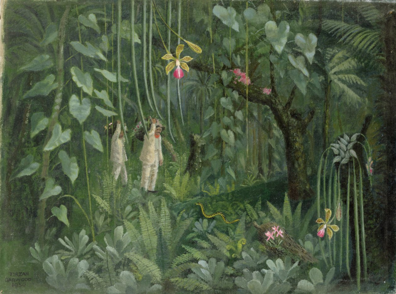 Orchideeënjagers van Brazilië door Tirzah Ravilious