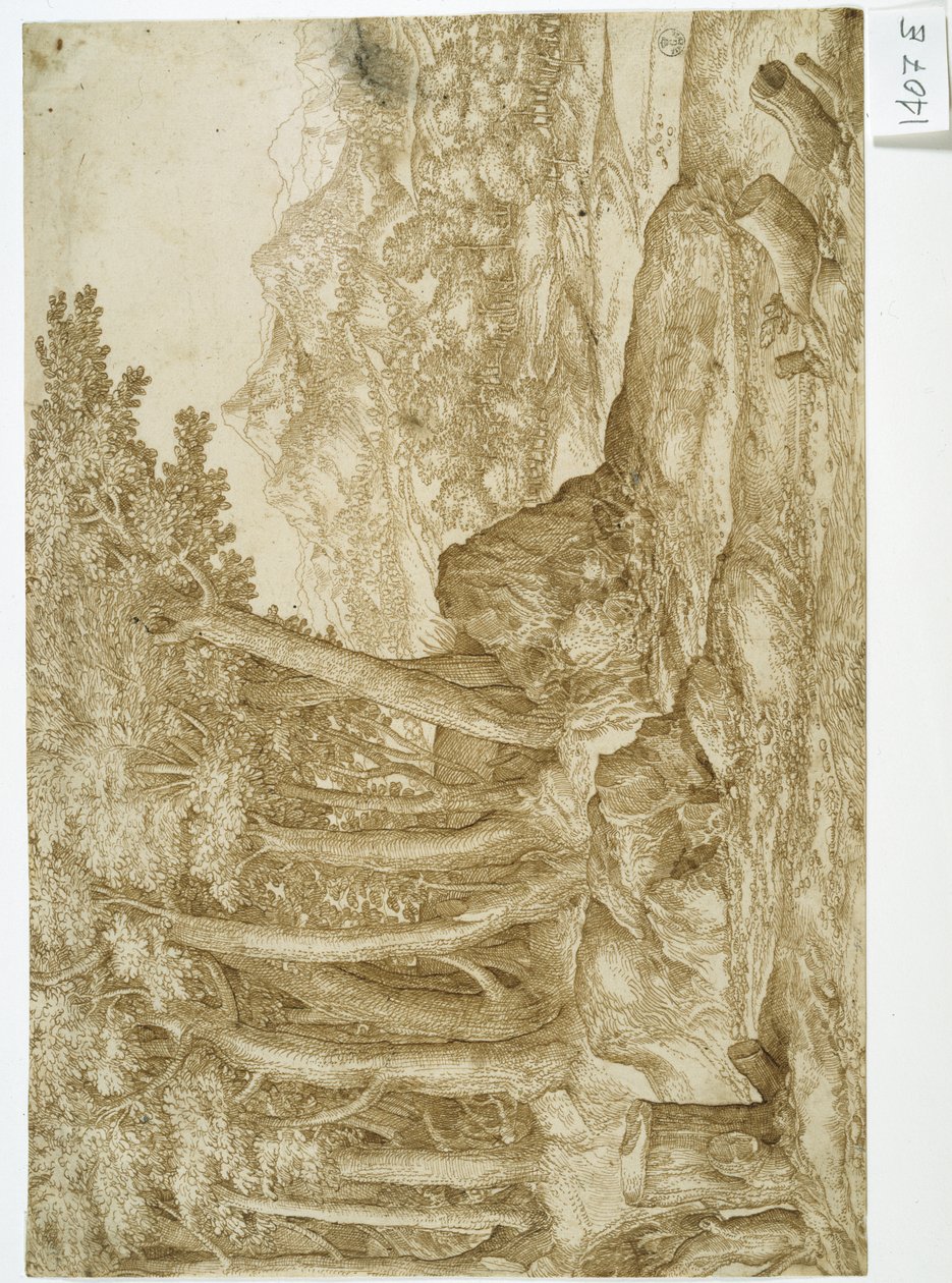 Landschap door Titian (c.1488 1576)