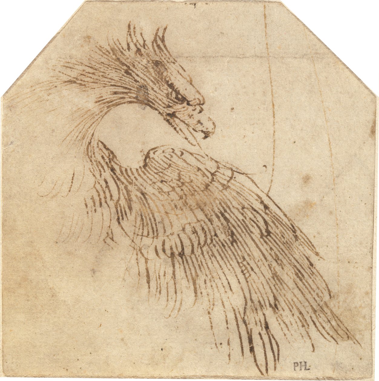 Een Adelaar door Titian