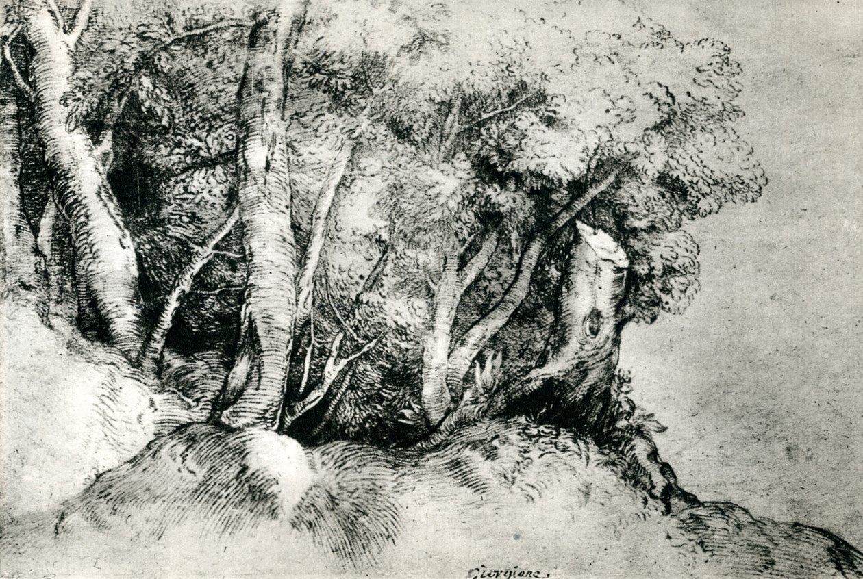 Boslandschap, ca. 1516-1518, 1937 door Tiziano Vecelli