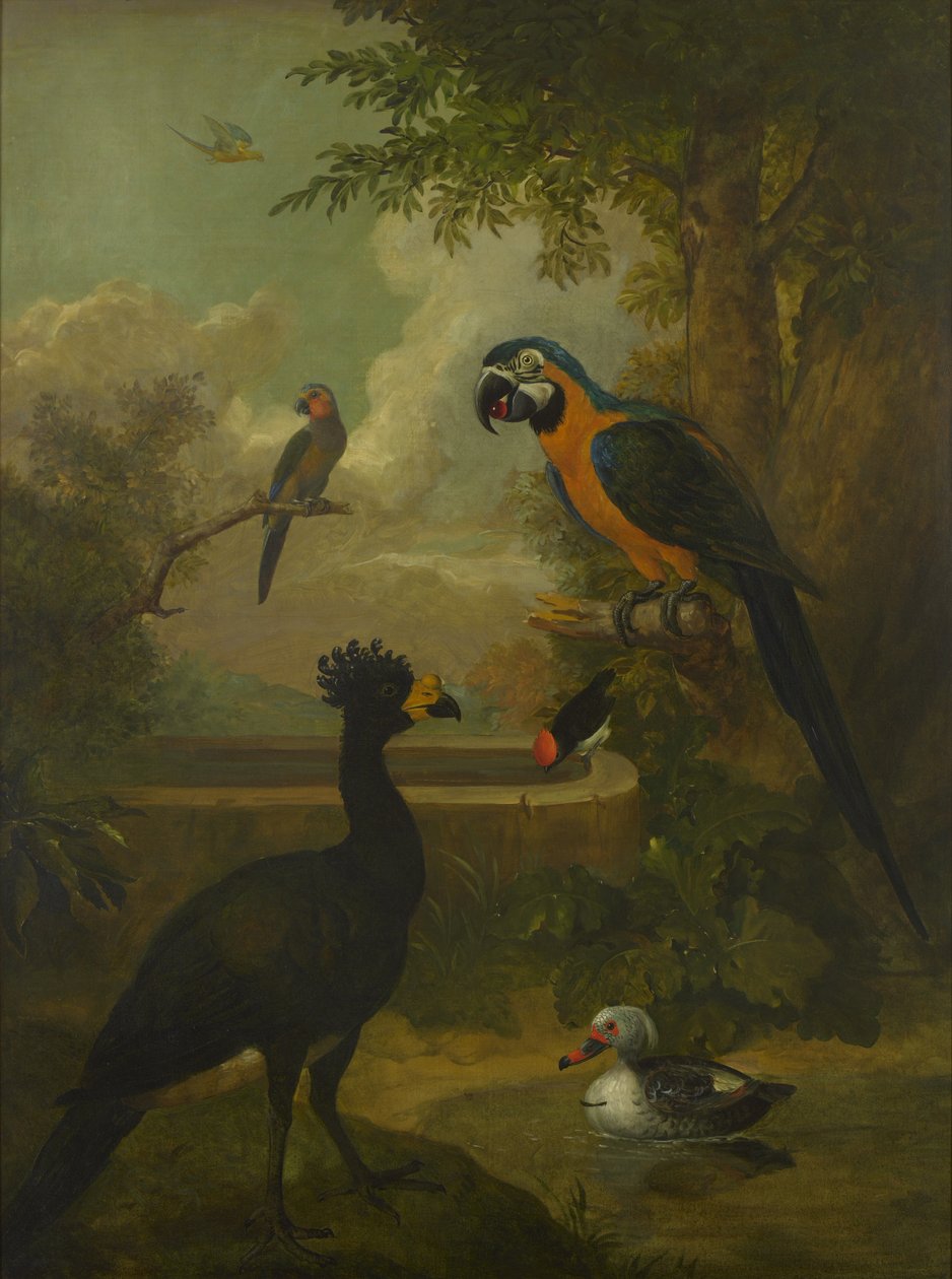 Ara en andere vogels in een landschap door Tobias Stranover
