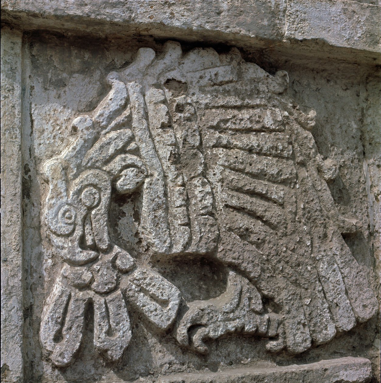 Reliëf van een adelaar, tempel van Quetzalcoatl door Toltec Toltec