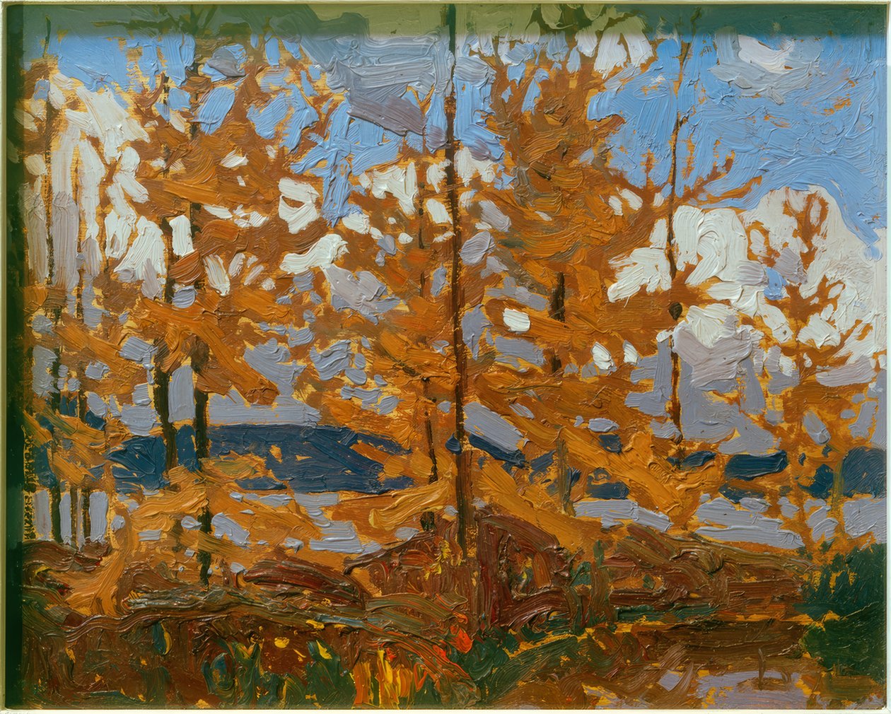Tamaracks door Tom Thomson