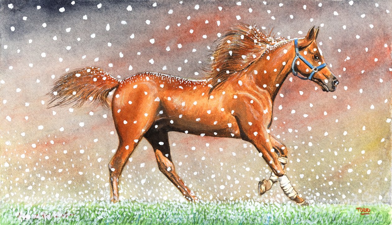 Kerstsneeuw door Tony Todd