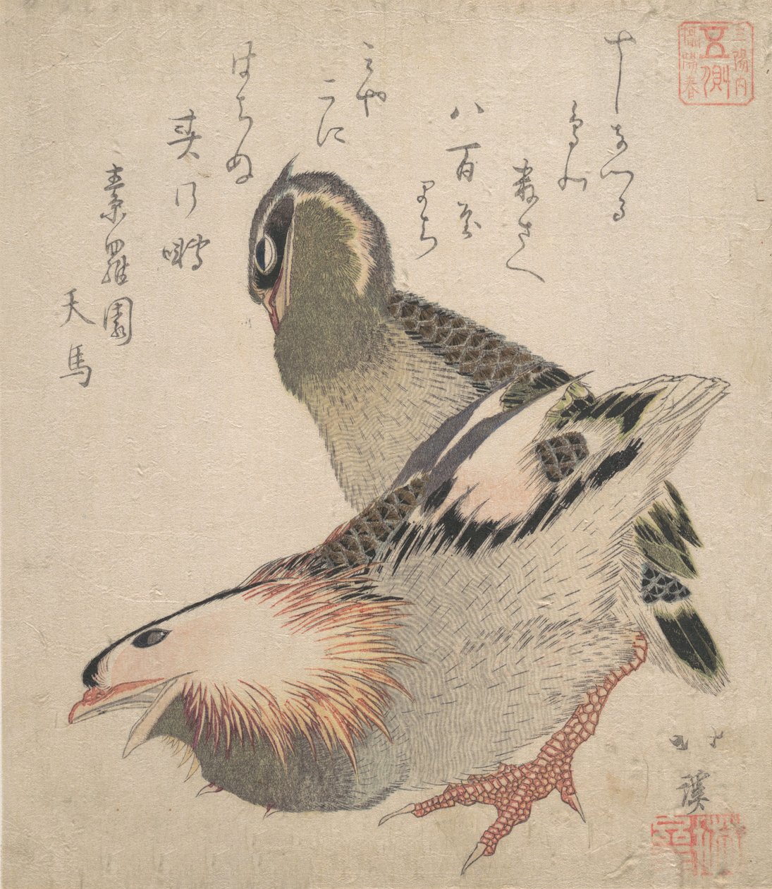 Twee vogels door Totoya Hokkei