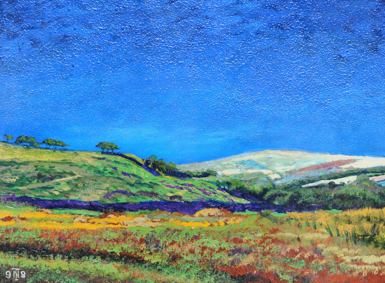 Derbyshire landschap, 1999 door Trevor Neal
