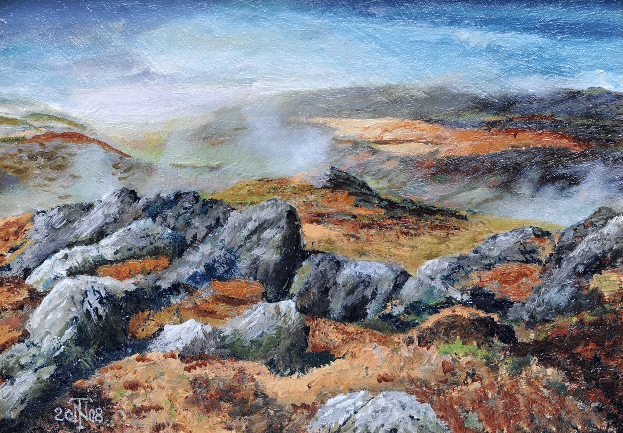Langdales top, Cumbria, 2008 door Trevor Neal