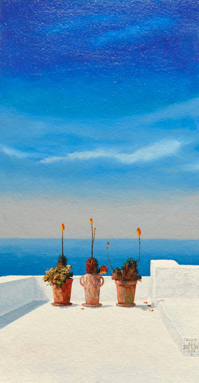 Santorini 8, 2010 door Trevor Neal