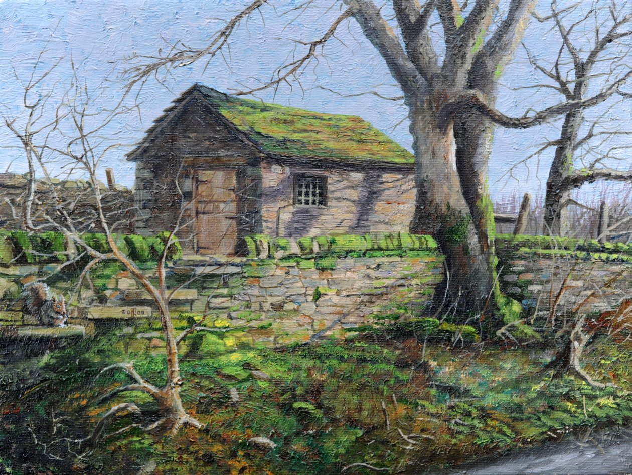 Stenen Schuur, Alport, Derbyshire door Trevor Neal
