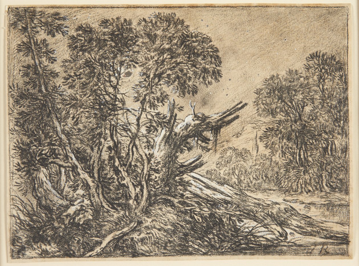 Boslandschap met een gebroken boom door Ubekendt