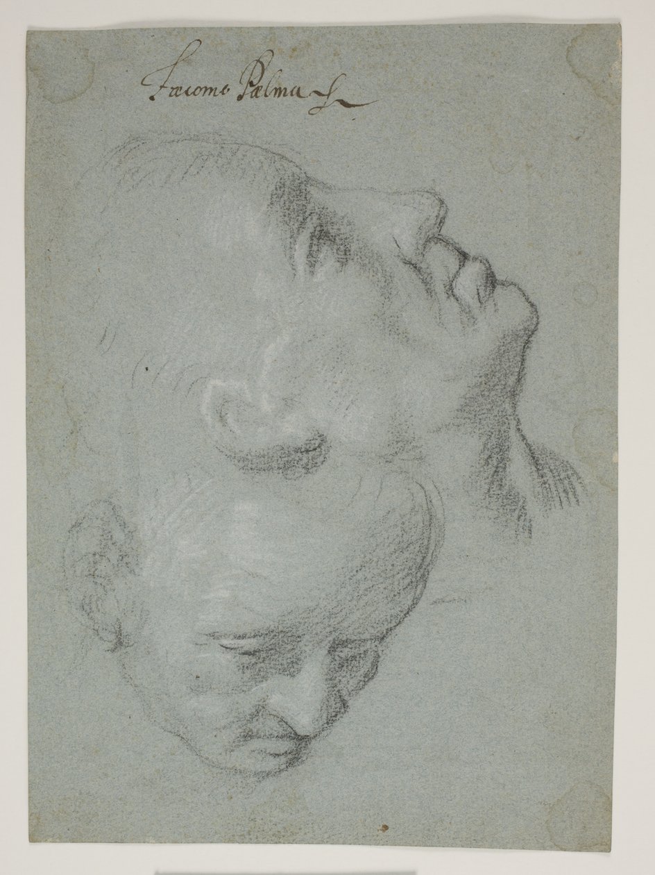 Twee studies van mannelijke gezichten door Ubekendt Ubekendt