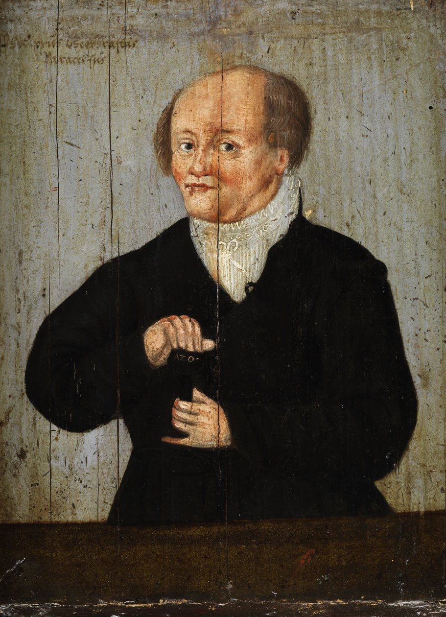 Philippus Theophrastus Paracelsus door Unbekannt Unbekannt