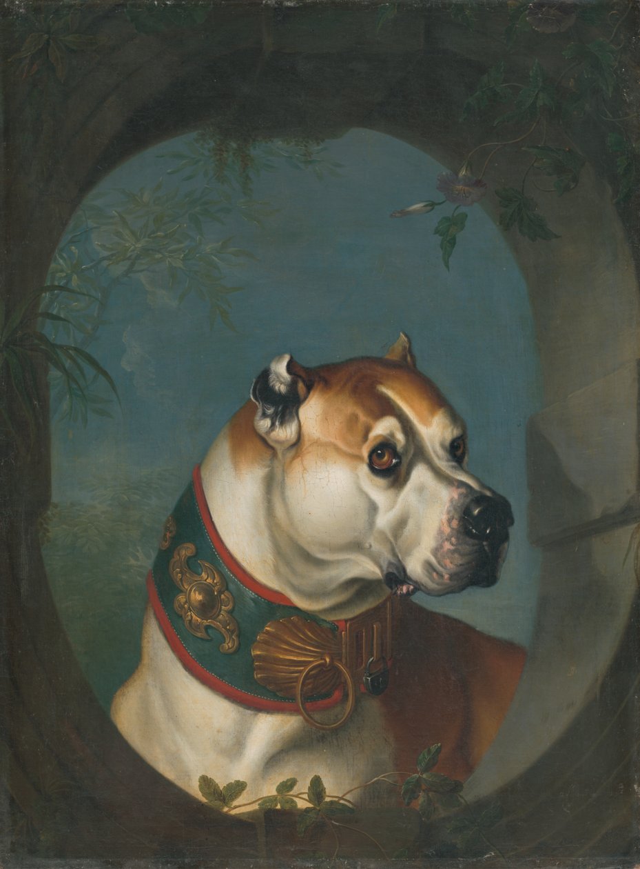Portret van een hond door Unbekannt Unbekannt