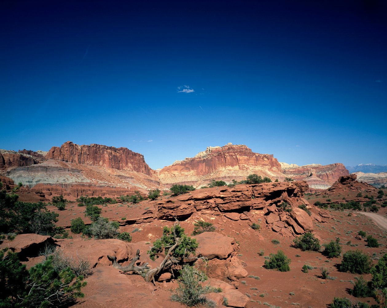 Capitol Dome en Chimney Rock, Capitol Reef National Park, Utah door Unbekannt Unbekannt