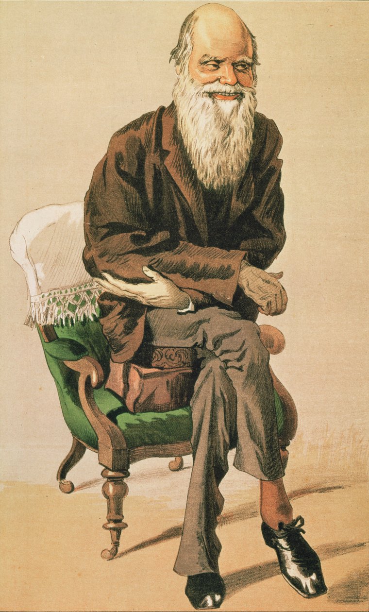 Mannen van de Dag, nr. 33, Charles Darwin, cartoon uit Vanity Fair door Unbekannt Unbekannt